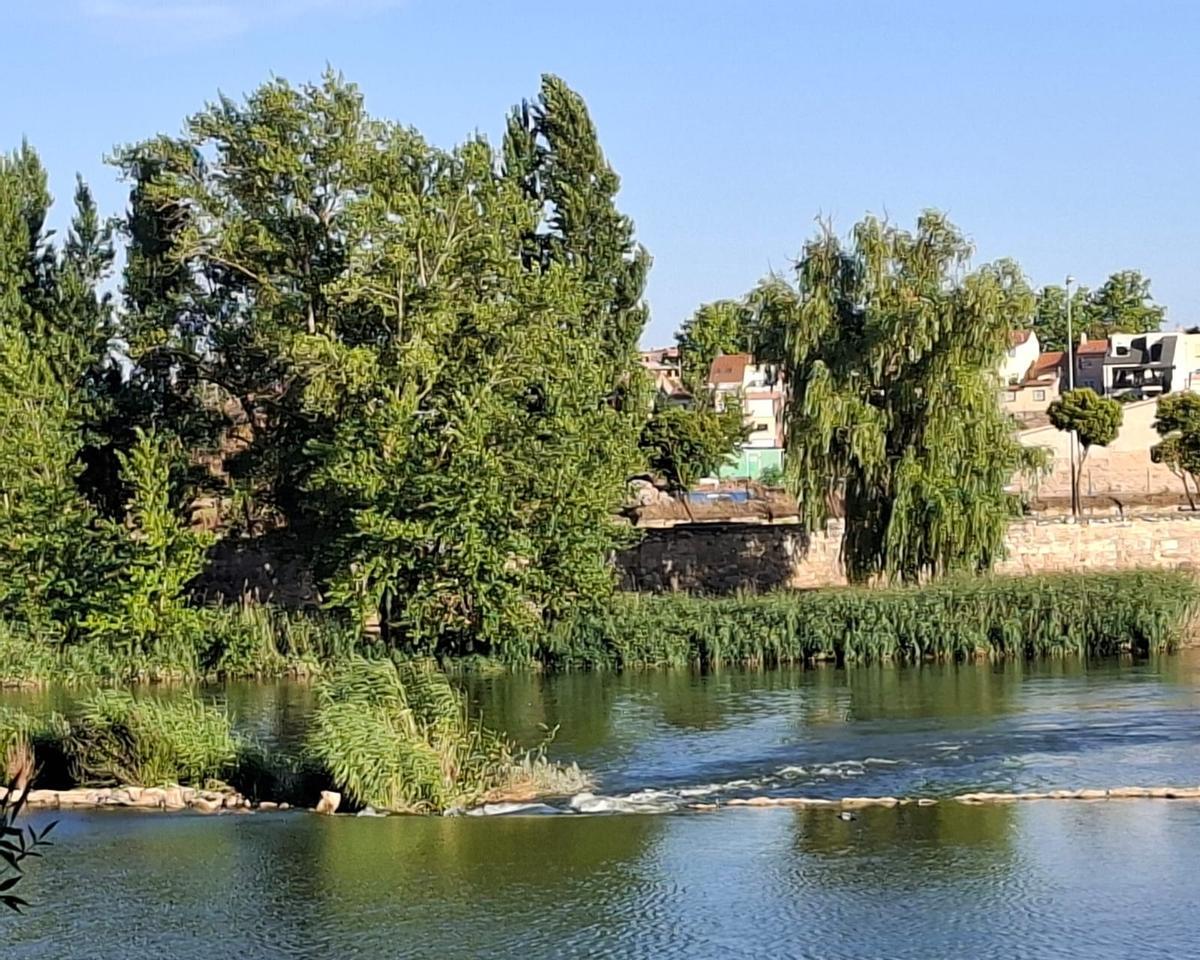 Las zudas del Duero, a su paso por la ciudad.