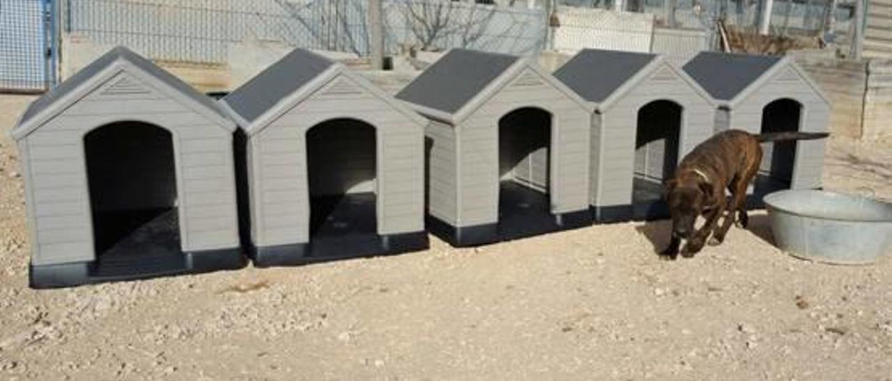 El albergue canino de Villena acogerá otros animales abandonados