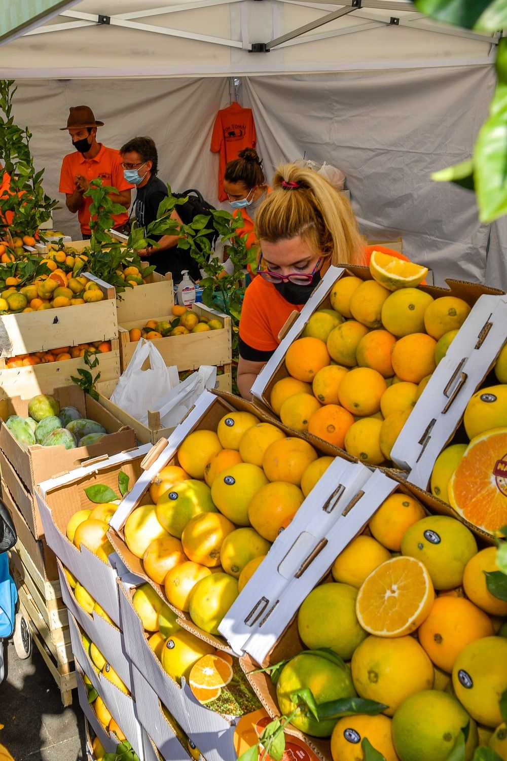 Feria de la Naranja de Telde