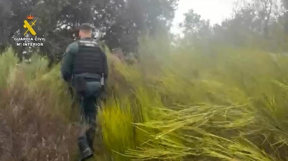 La Guardia Civil busca a un hombre de 63 años desaparecido en Cenicientos cuando iba a buscar leña