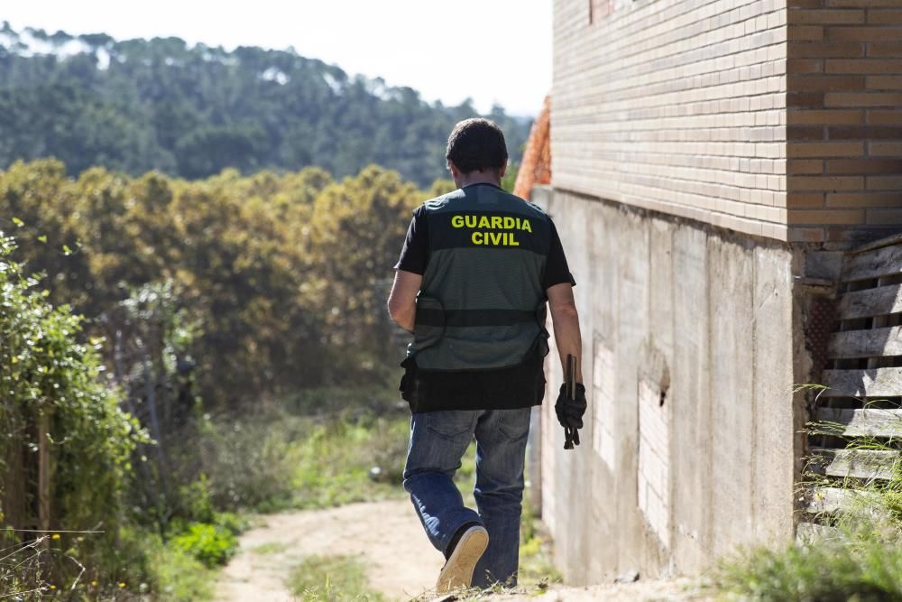 Dos detinguts i 1.500 plantes de marihuana descobertes en més escorcolls contra el clan de la Selva i el Gironès