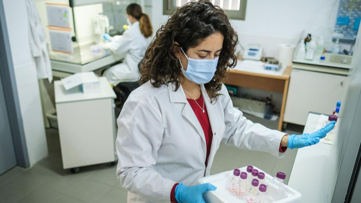 Investigadoras de la Universidad de La Laguna trabajando en uno de los laboratorios de la institución.