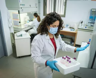 La ULL ‘premiará’ a los científicos más productivos en sus nuevos contratos