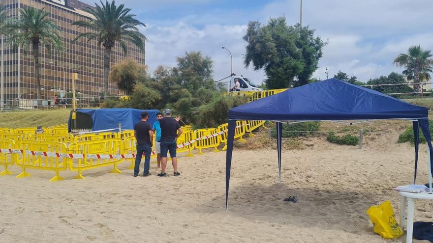 Abren un punto de información ambiental en el nido de tortuga boba de la playa de Can Pere Antoni