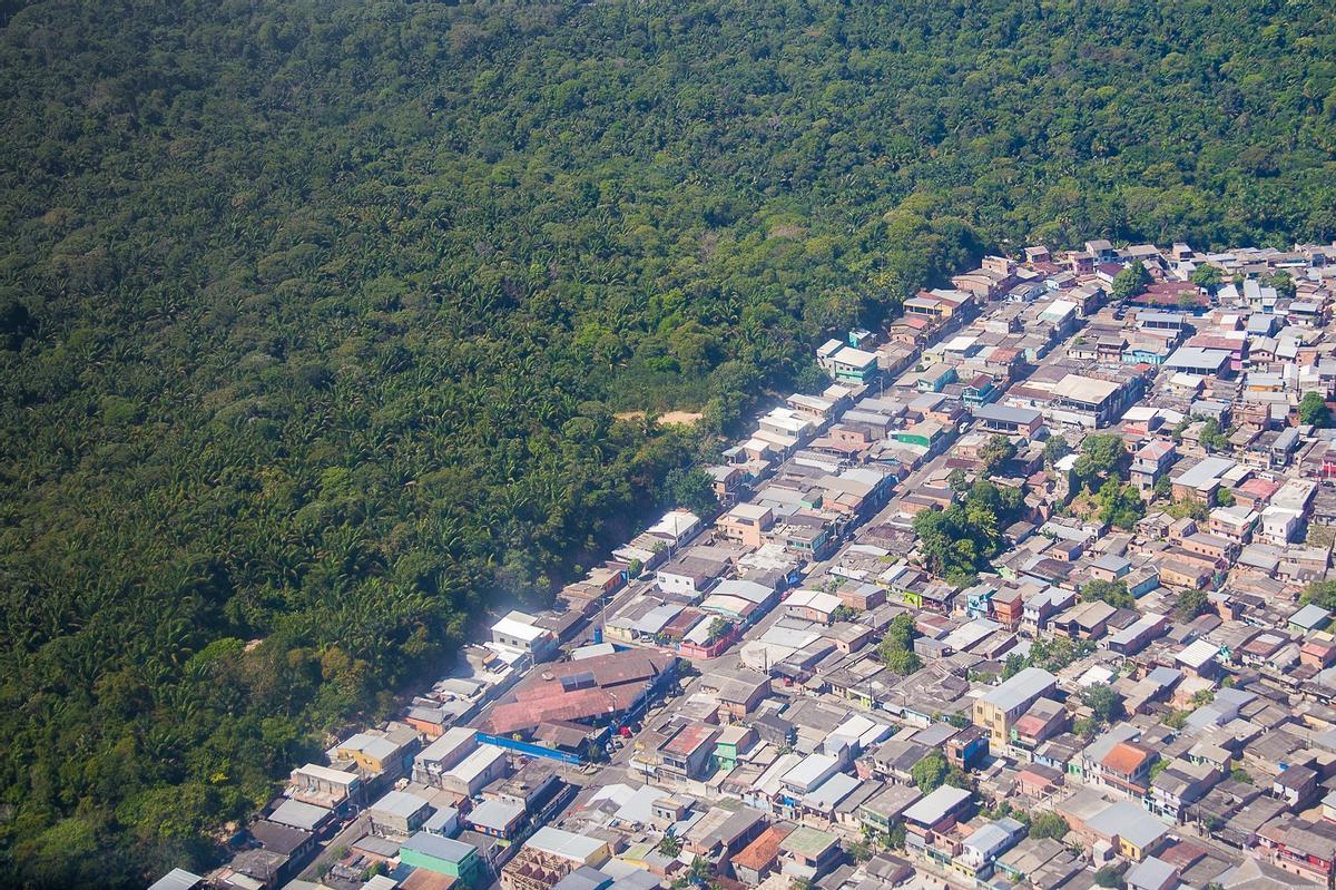 Urbanización 'comiéndose' el bosque amazónico