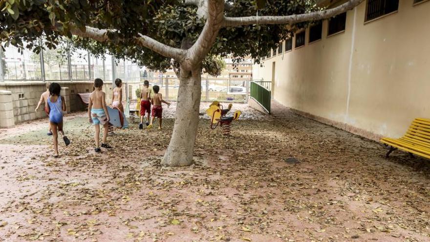 Hojarasca en el patio de un colegio de Alicante.