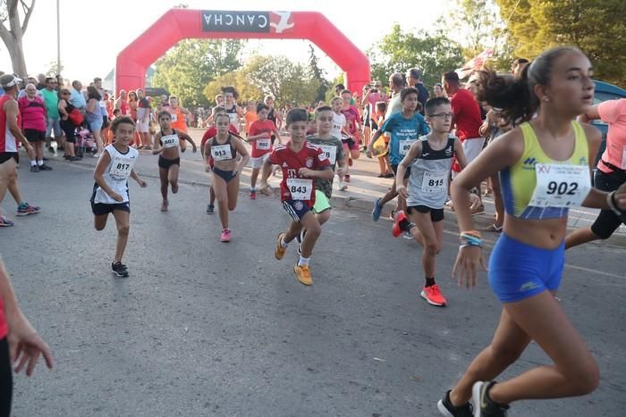 Carrera popular Llano del Beal