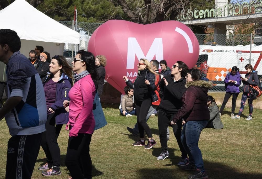 El final de festa de la Transèquia d'enguany