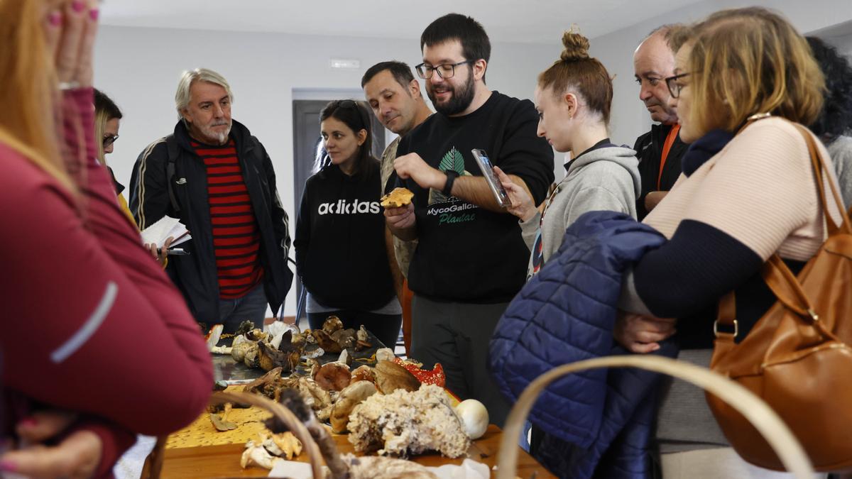 El micólogo Hugo Fernández analiza con los participantes en la jornada las setas recogidas durante la mañana.