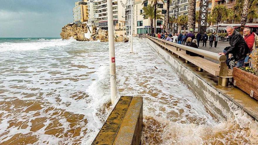 La plebamar a Benidorm, de fins a 50 cms, va dur el mar fins al passeig