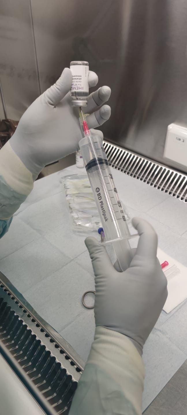Preparación del tratamiento contra la hemofilia B con terapia génica en el hospital Álvaro Cunqueiro de Vigo