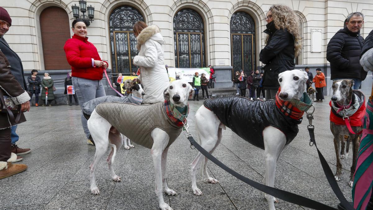 Los perros ya no podrán quedarse atados en la calle sin supervisión por la nueva ley de bienestar animal