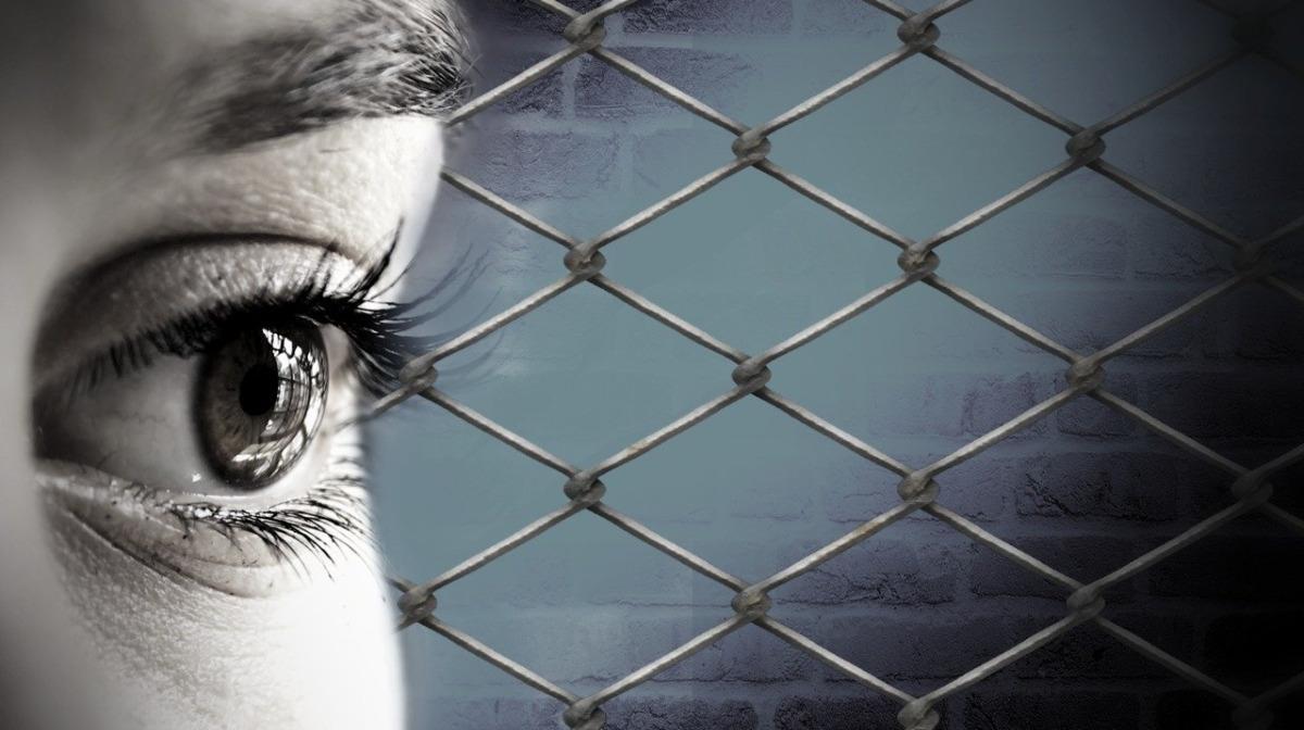 Los nietos de mujeres que estaban embarazadas durante un hecho de violencia política y religiosa en Siria en 1982 preservan huellas genéticas de ese trauma, aunque no lo sufrieron directamente.