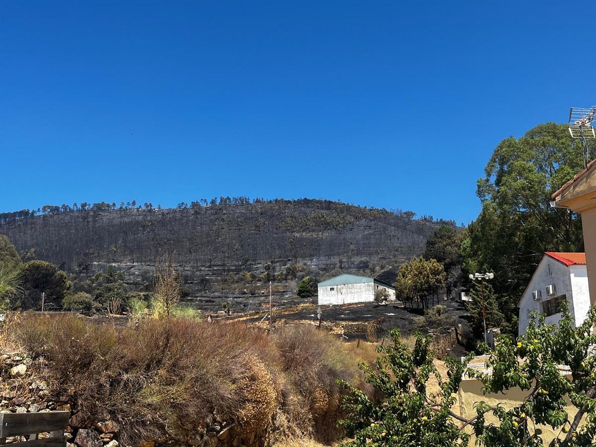 Fotogalería | Así ha quedado la zona de Casas de Millán tras el paso del incendio