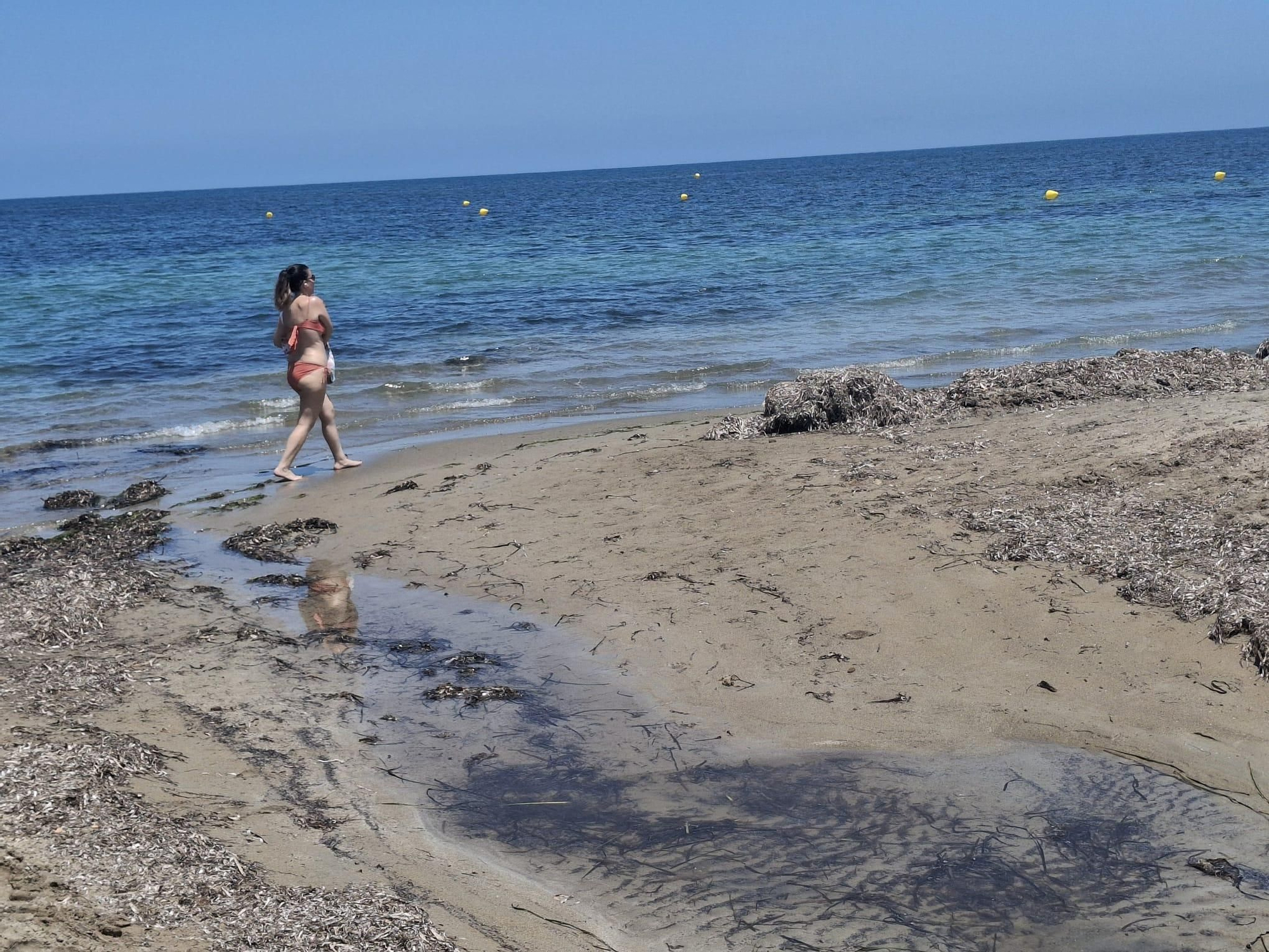 Insólito: playas vacías en Dénia (imágenes)
