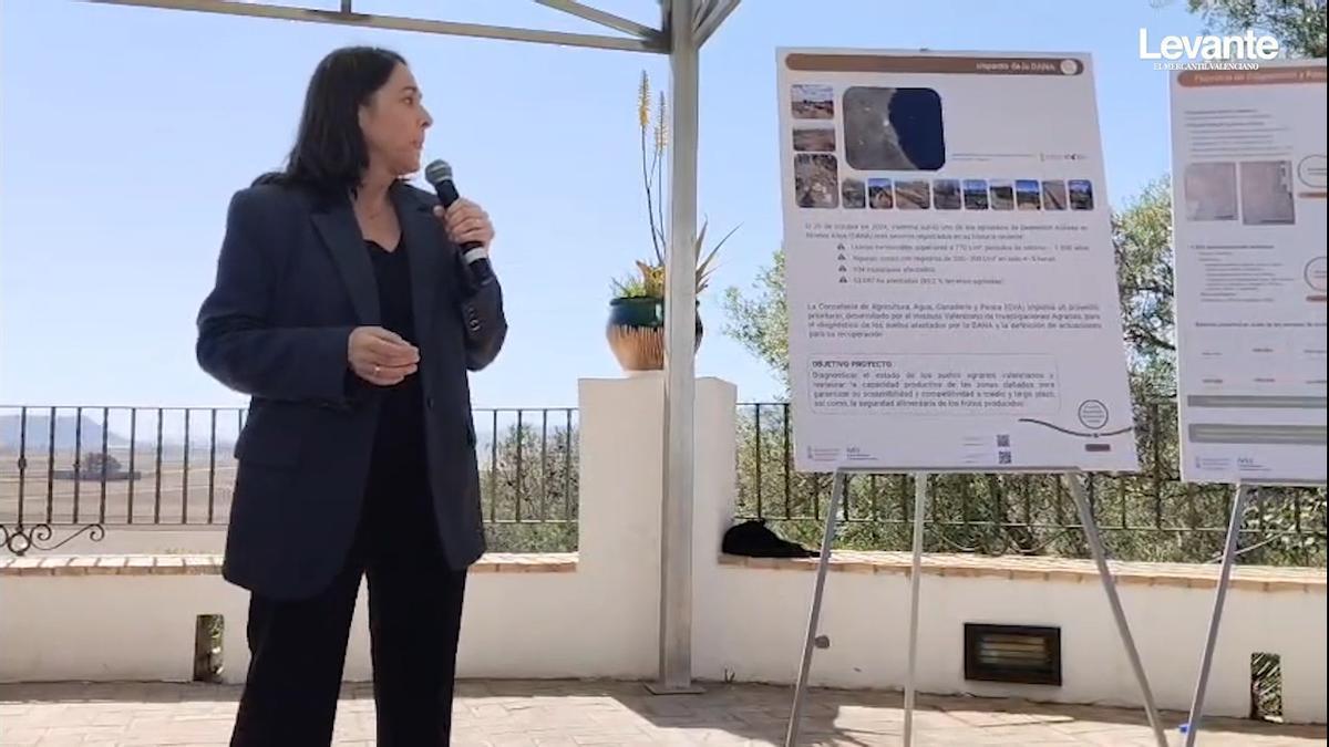 El 100 % de los campos arrasados por la dana están fértiles y libres de contaminantes