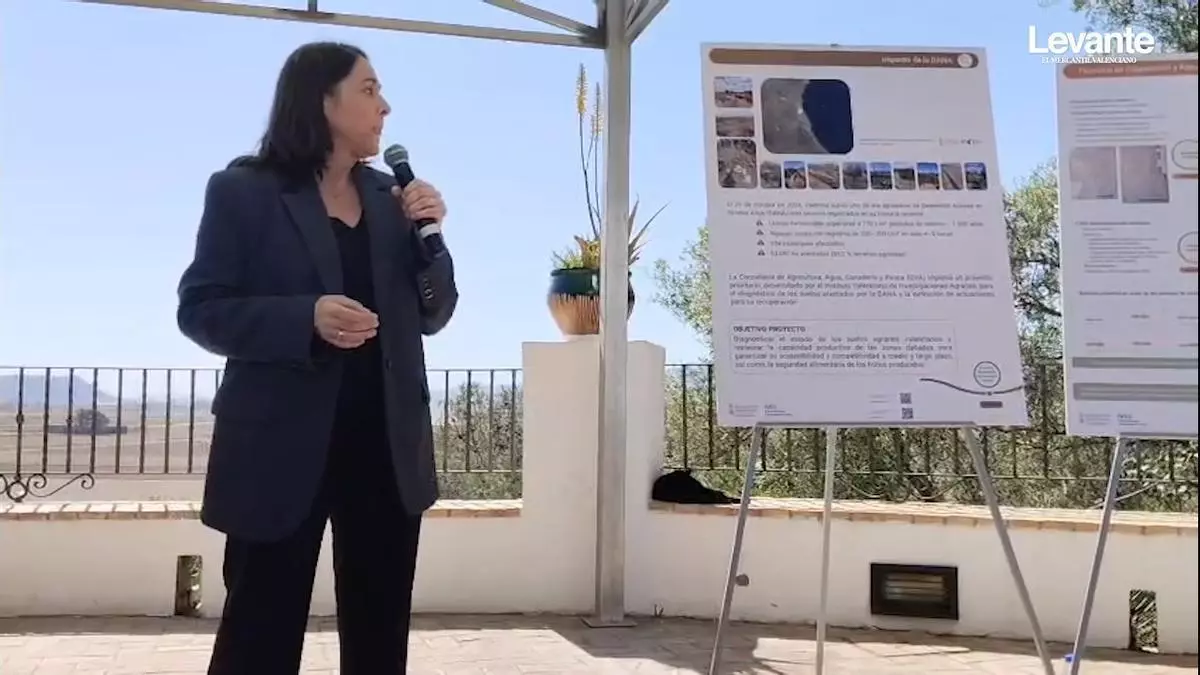 El 100 % de los campos arrasados por la dana están fértiles y libres de contaminación
