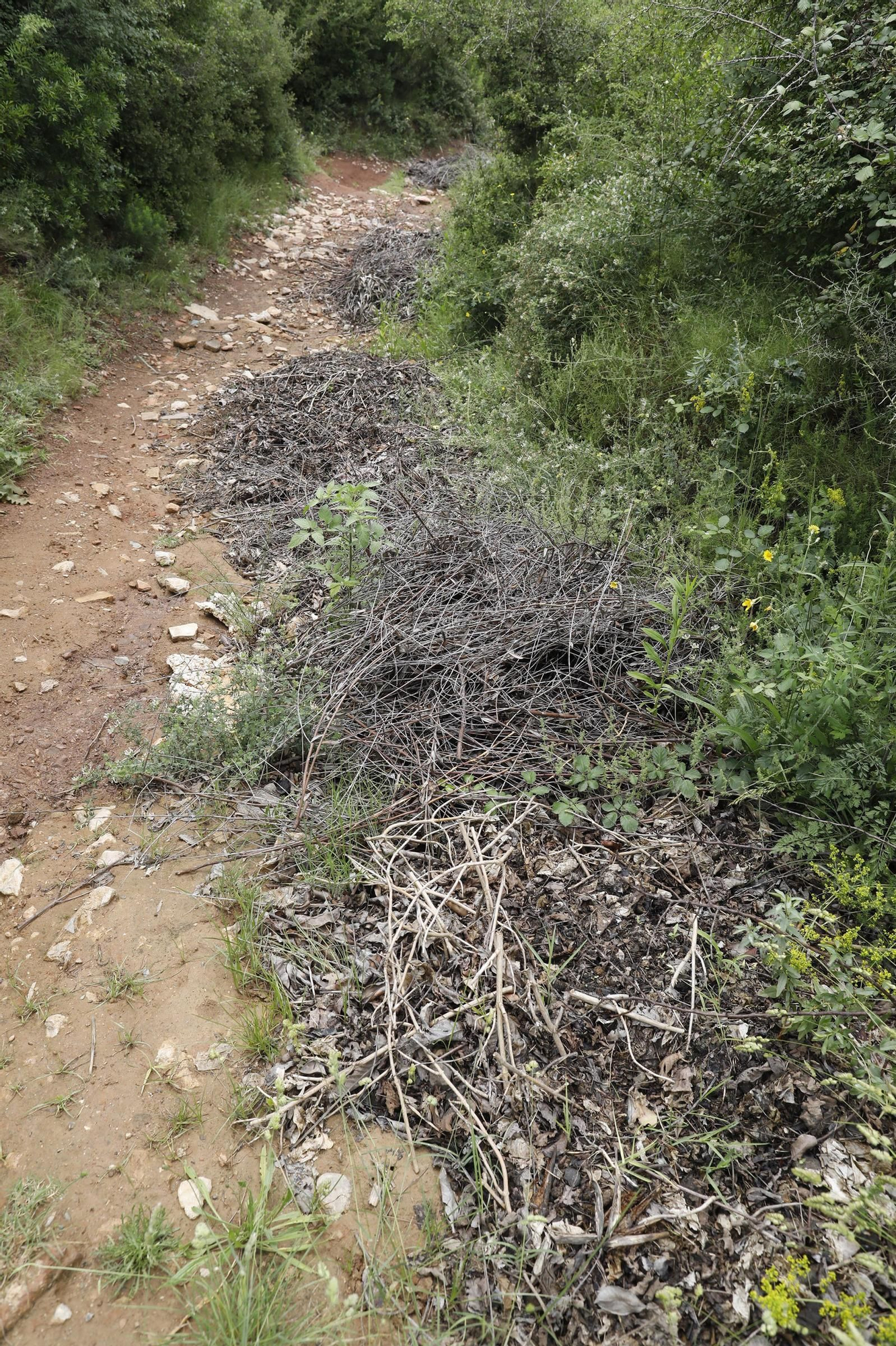 Les imatges de l’entorn del parc de les Pedreres de Girona