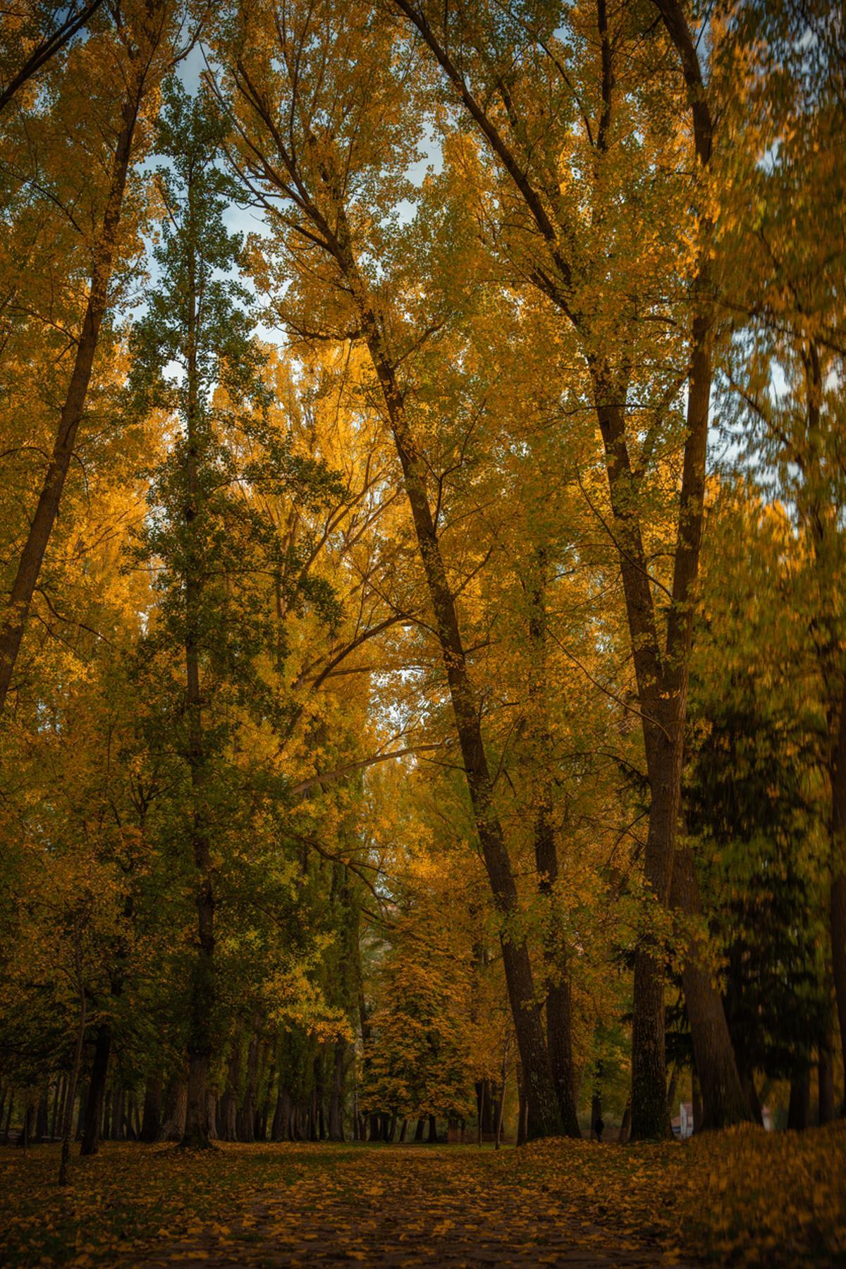 Paisajes de Soria durante la temporada de otoño.