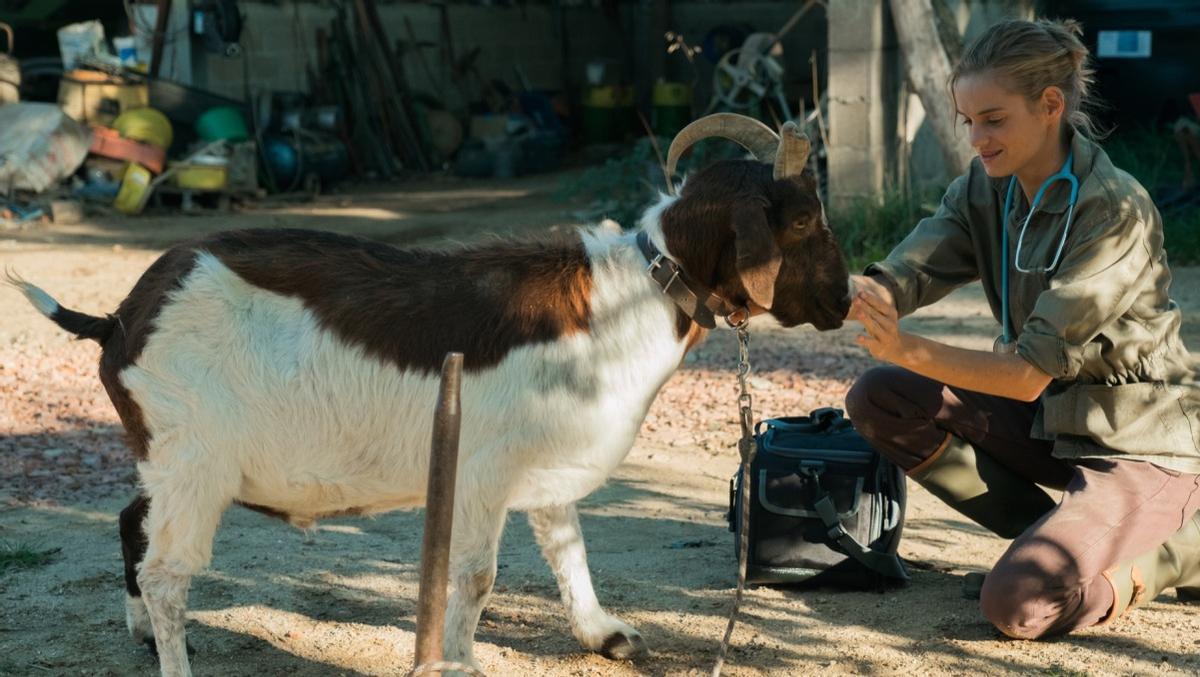 La actriz Noémie Schmidt adora a los animales.