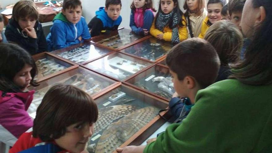 Varios alumnos del colegio de La Vallina, durante su visita al centro de interpretación de la charca de Zeluán.