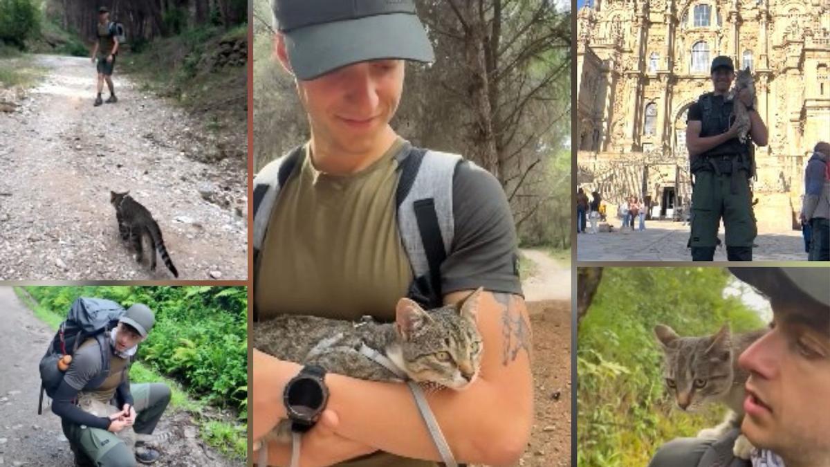 Este gato siguió a Julio mientras este hacía el Camino de Santiago y peregrino acabó adpotádolo.