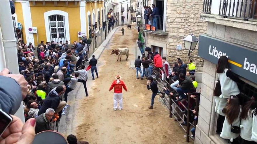 6 vaquillas para el encierro y la capea