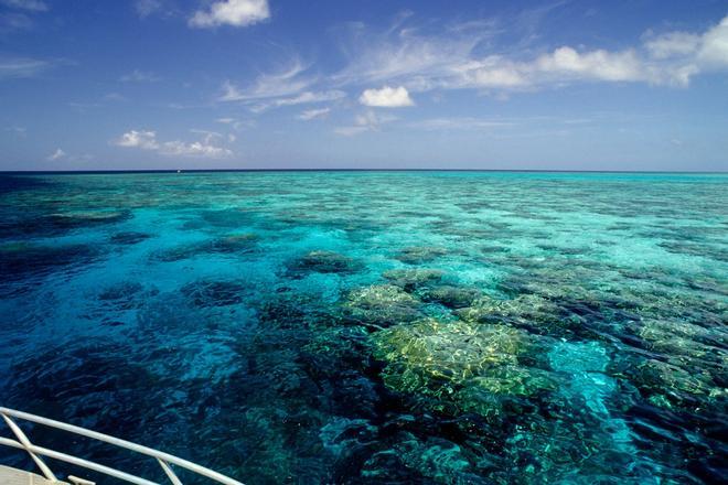 Gran Barrera de Coral