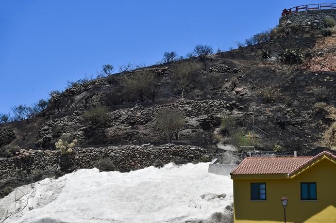 Vistas, hoy, de la zona del incendio de anoche ...