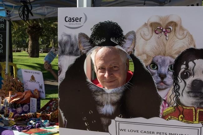 Feria de Mascotas de Maspalomas 2016