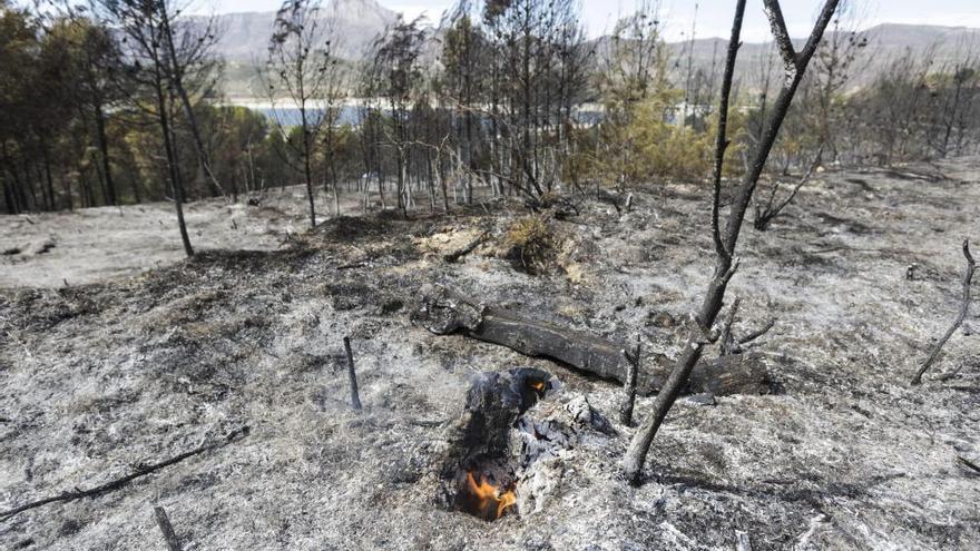 Imagen de la zona afectada por el incendio Planes