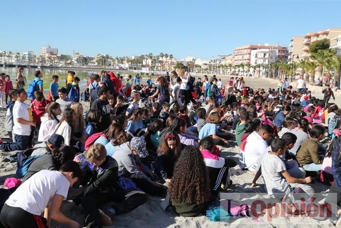 Un 'SOS' gigante para el Mar Menor formado por escolares en Villananitos