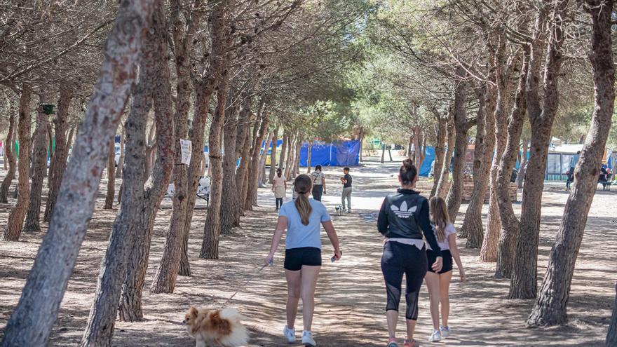 Torrevieja autoriza la acampada a más de 1.300 personas en Lo Albentosa junto al parque natural