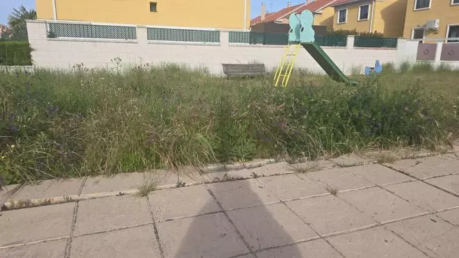 Parques y jardines del barrio siglo XXI llenos de maleza y sin mantenimiento.