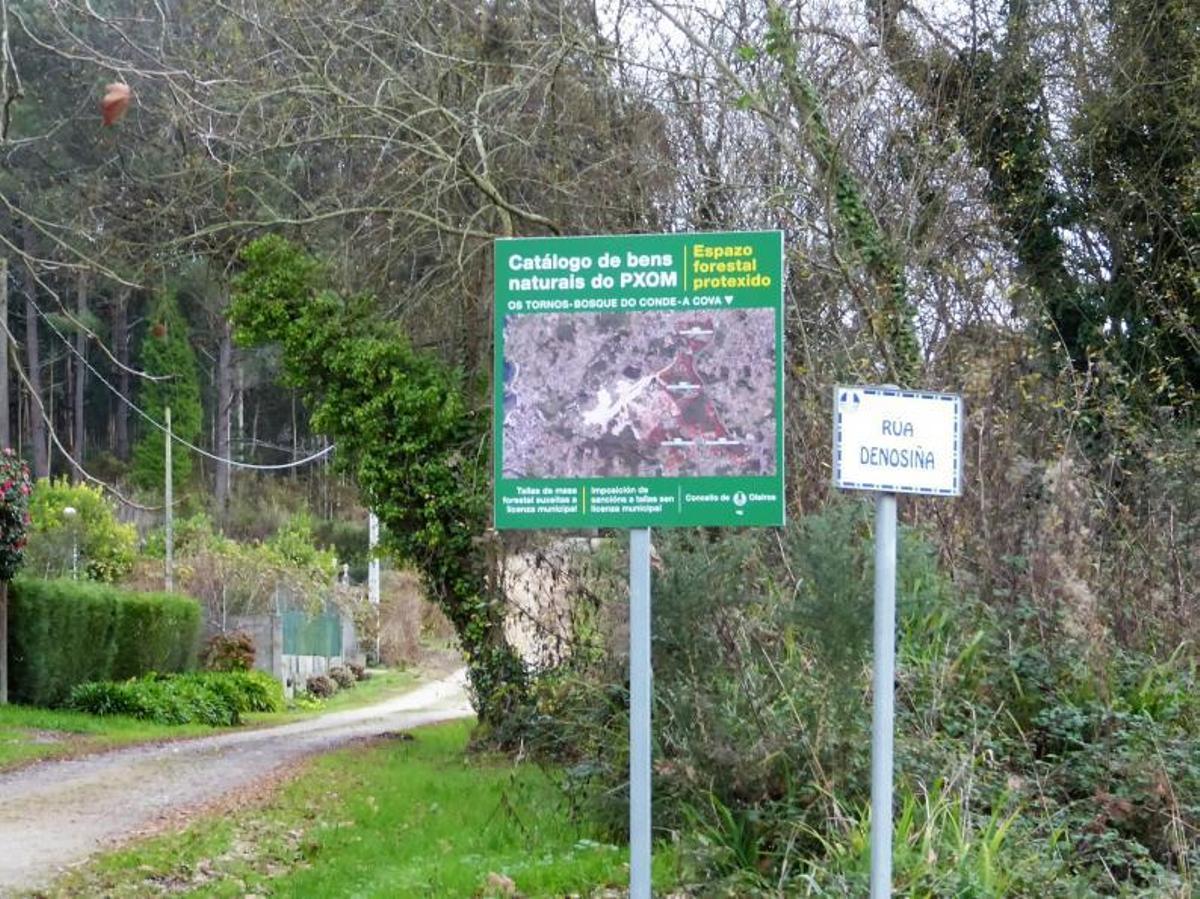 El bosque de Xaz se inaugura solo