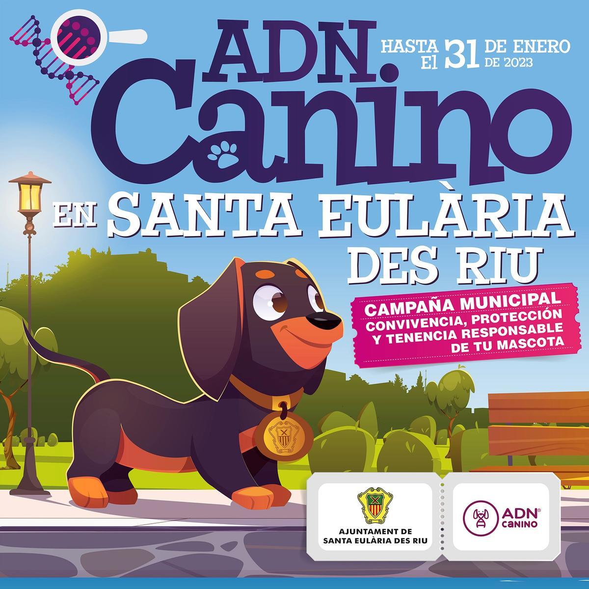 El cartel de Santa Eulària para la campaña canina municipal