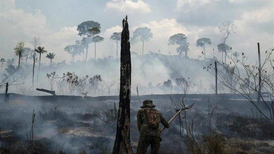 Científicos de todo el mundo plantean seis medidas para hacer frente a la crisis climática