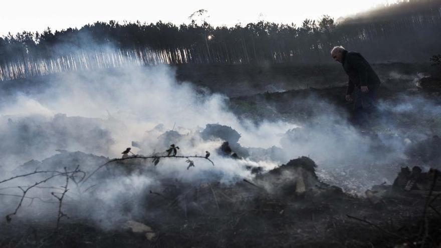 Imagen de San Juan de Prendones (El Franco) tras los incendios en la zona