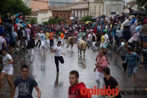 Cuarto encierro Feria del Arroz 2015, Calasparra