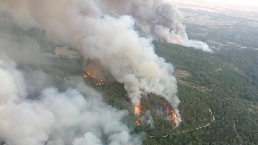 El incendio forestal de Villanueva de la Vera está estabilizado, pero se mantiene el nivel 1