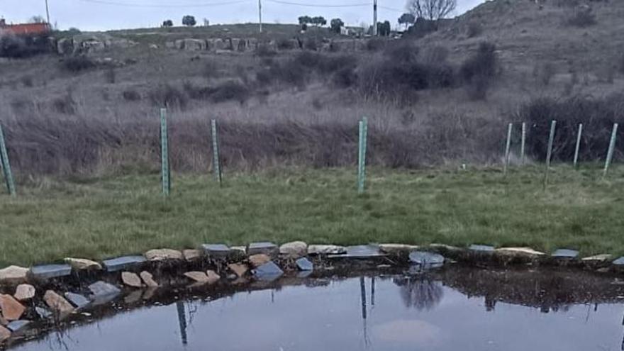 El antiguo vertedero de Zamora en La Hiniesta recupera su valor medioambiental