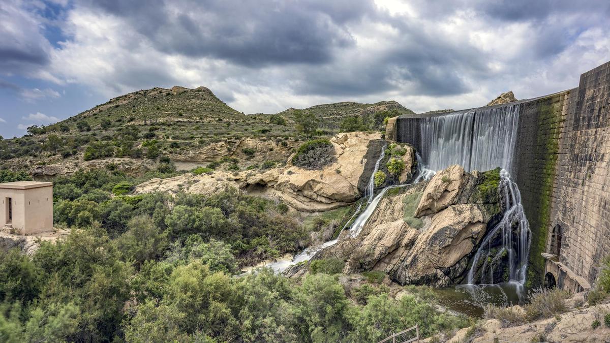 El Pantano de Elche: la ruta de senderismo perfecta para recorrer con niños este domingo