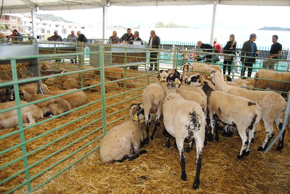 Segona jornada de la Fira de Sant Isidre a Solsona