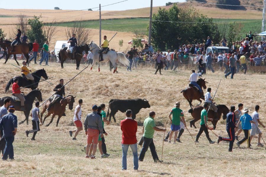 Encierro Guarrate