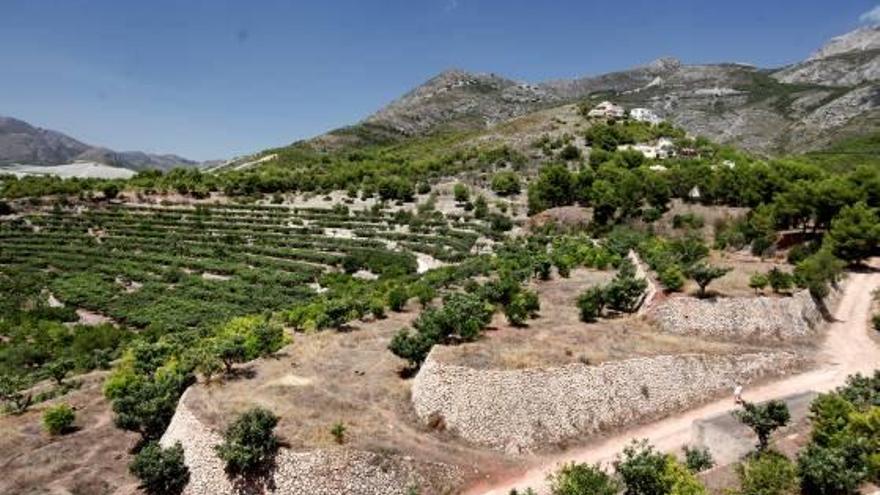 En esta zona de la sierra estaban proyectadas las 1.700 viviendas y el campo de golf.