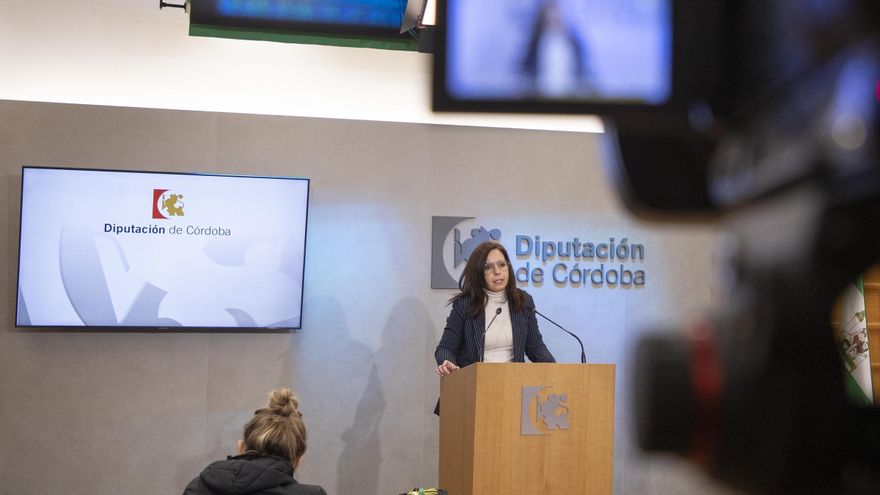 La Diputación de Córdoba atendió a 320 menores y 167 familias en riesgo psicosocial o desprotección en 2024