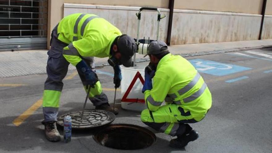 Canals lleva a cabo la campaña de desratización y desinsectación en edificios públicos y municipales