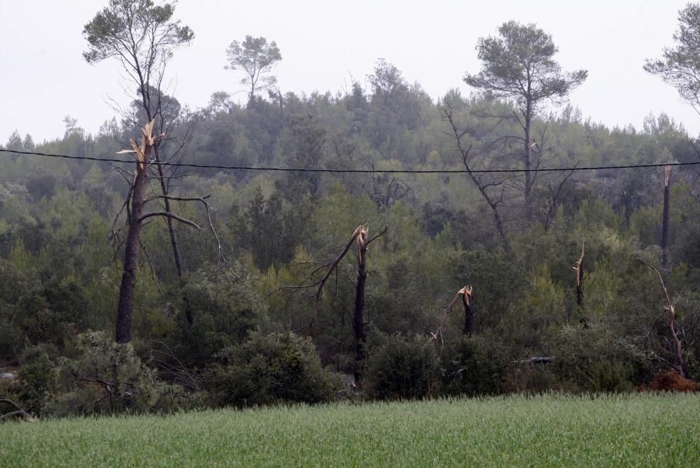 Un tornado deixa danys en cases, naus i vehicles a Cistella