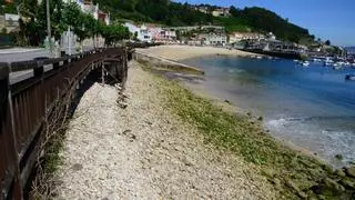 El PP pide un estudio a Xunta y Estado sobre la situación de la Praia de Beluso