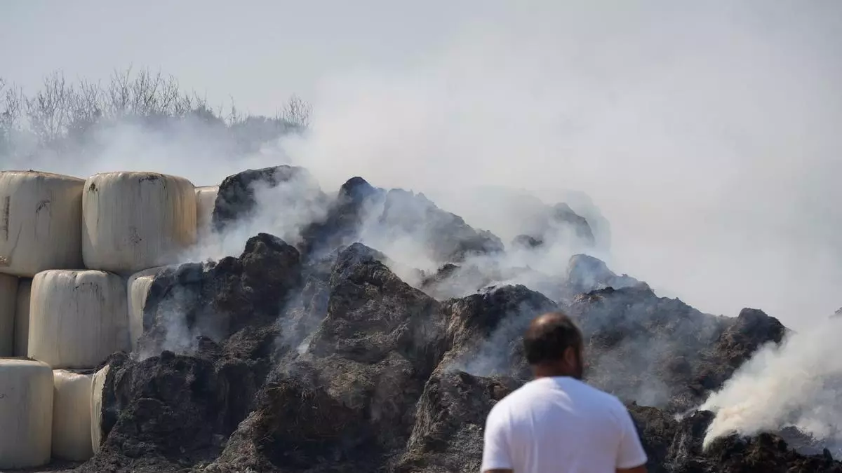 Manuel Fadón, ganadero de Zafara afectado por el incendio de Fermoselle: "No nos dejan limpiar, nadie se preocupa de los pueblos"